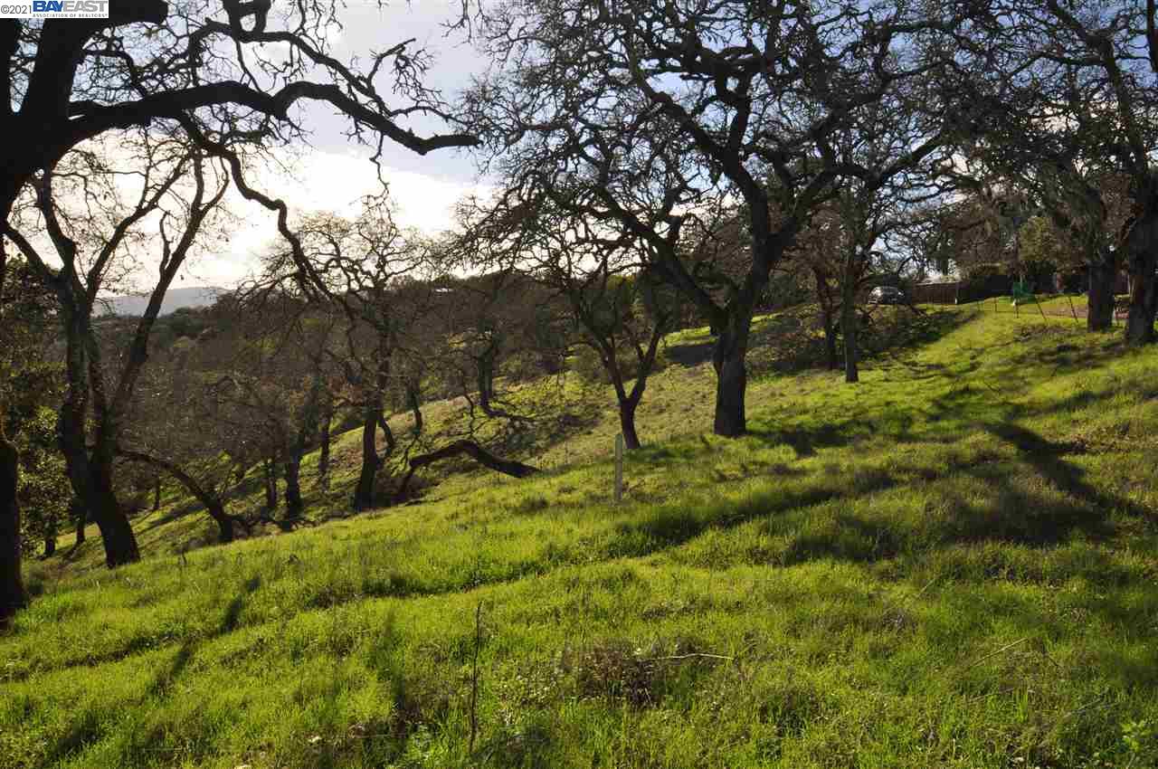 Crest Road, NOVATO, California 94945, ,Lots And Land,For Sale,Crest Road,40963564