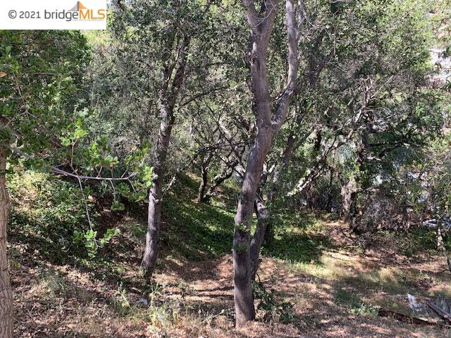 8512 Seneca St, OAKLAND, California 94605, ,Lots And Land,For Sale,Seneca St,40963594