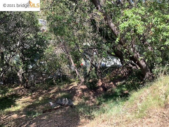 8512 Seneca St, OAKLAND, California 94605, ,Lots And Land,For Sale,Seneca St,40963594