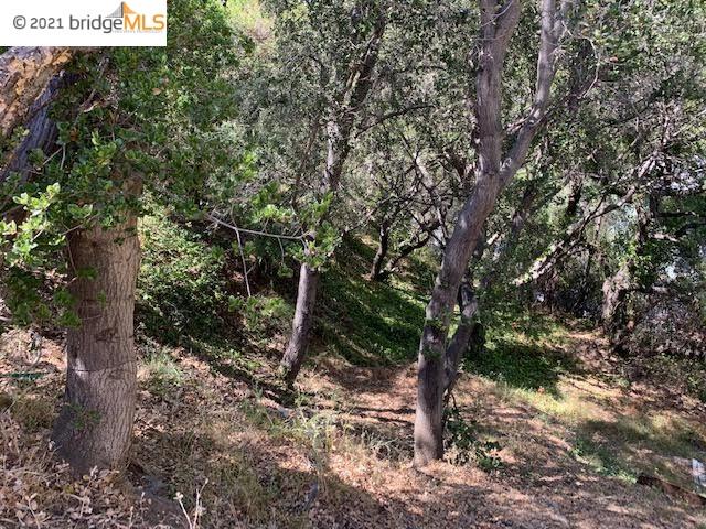 8512 Seneca St, OAKLAND, California 94605, ,Lots And Land,For Sale,Seneca St,40963594