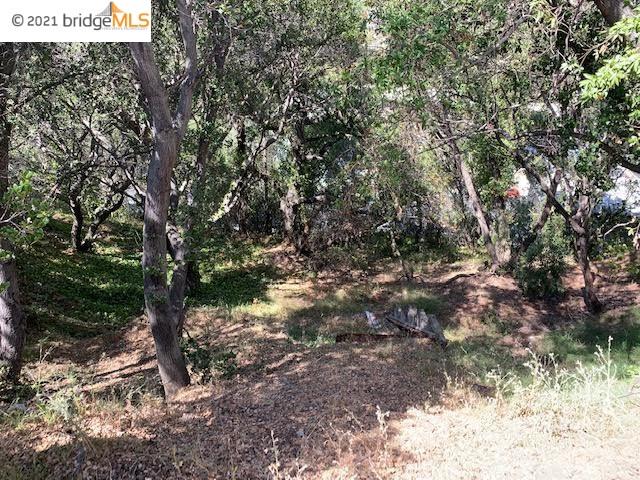 8512 Seneca St, OAKLAND, California 94605, ,Lots And Land,For Sale,Seneca St,40963594
