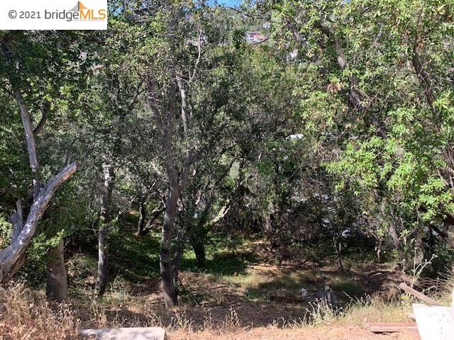 8512 Seneca St, OAKLAND, California 94605, ,Lots And Land,For Sale,Seneca St,40963594