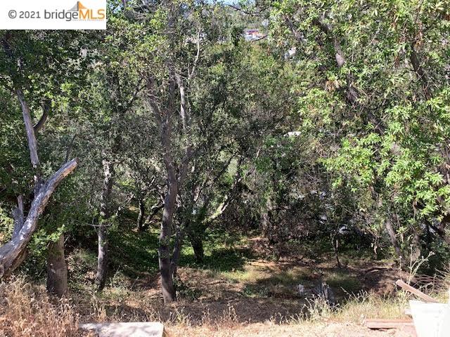 8512 Seneca St, OAKLAND, California 94605, ,Lots And Land,For Sale,Seneca St,40963594