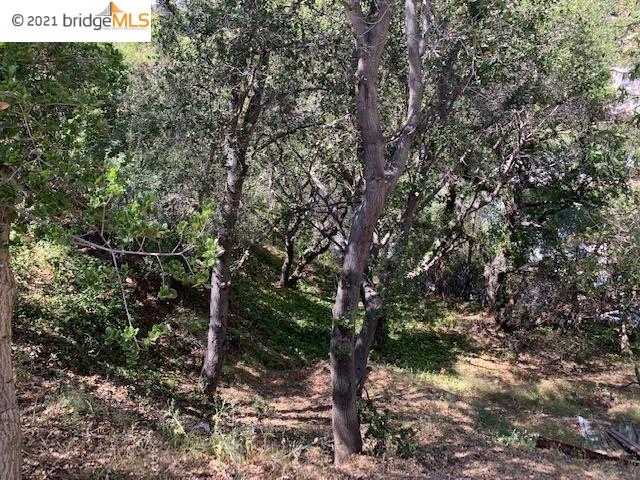 8512 Seneca St, OAKLAND, California 94605, ,Lots And Land,For Sale,Seneca St,40963594