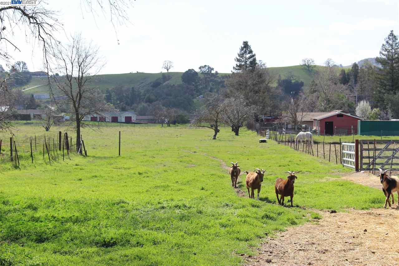 Sycamore Rd, PLEASANTON, California 94566, ,Lots And Land,For Sale,Sycamore Rd,40963617