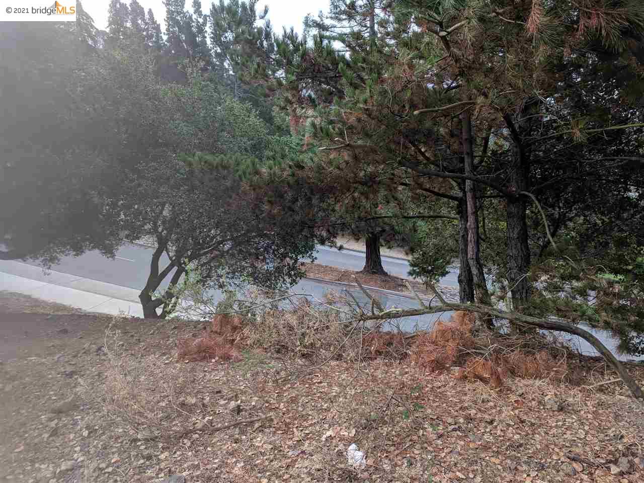 0 Redwood Rd, OAKLAND, California 94619, ,Lots And Land,For Sale,Redwood Rd,40963635