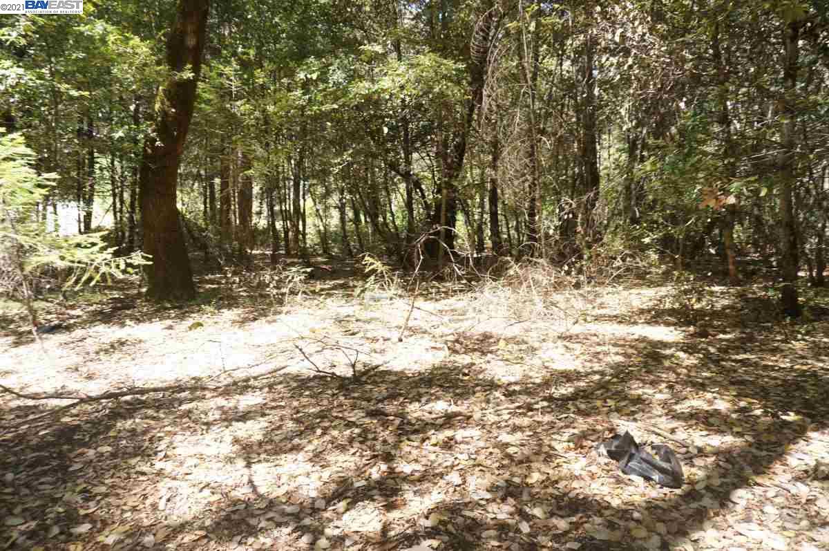 4271 State Highway 299 Rd, BURNT RANCH, California 95527, ,Lots And Land,For Sale,State Highway 299 Rd,40963655