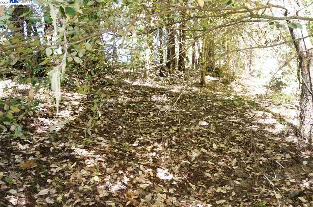 4271 State Highway 299 Rd, BURNT RANCH, California 95527, ,Lots And Land,For Sale,State Highway 299 Rd,40963655
