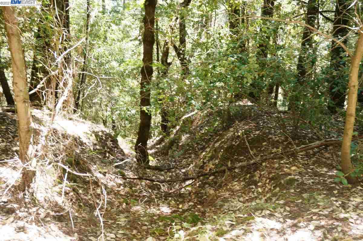4271 State Highway 299 Rd, BURNT RANCH, California 95527, ,Lots And Land,For Sale,State Highway 299 Rd,40963655