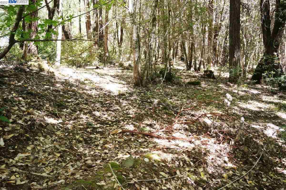 4271 State Highway 299 Rd, BURNT RANCH, California 95527, ,Lots And Land,For Sale,State Highway 299 Rd,40963655