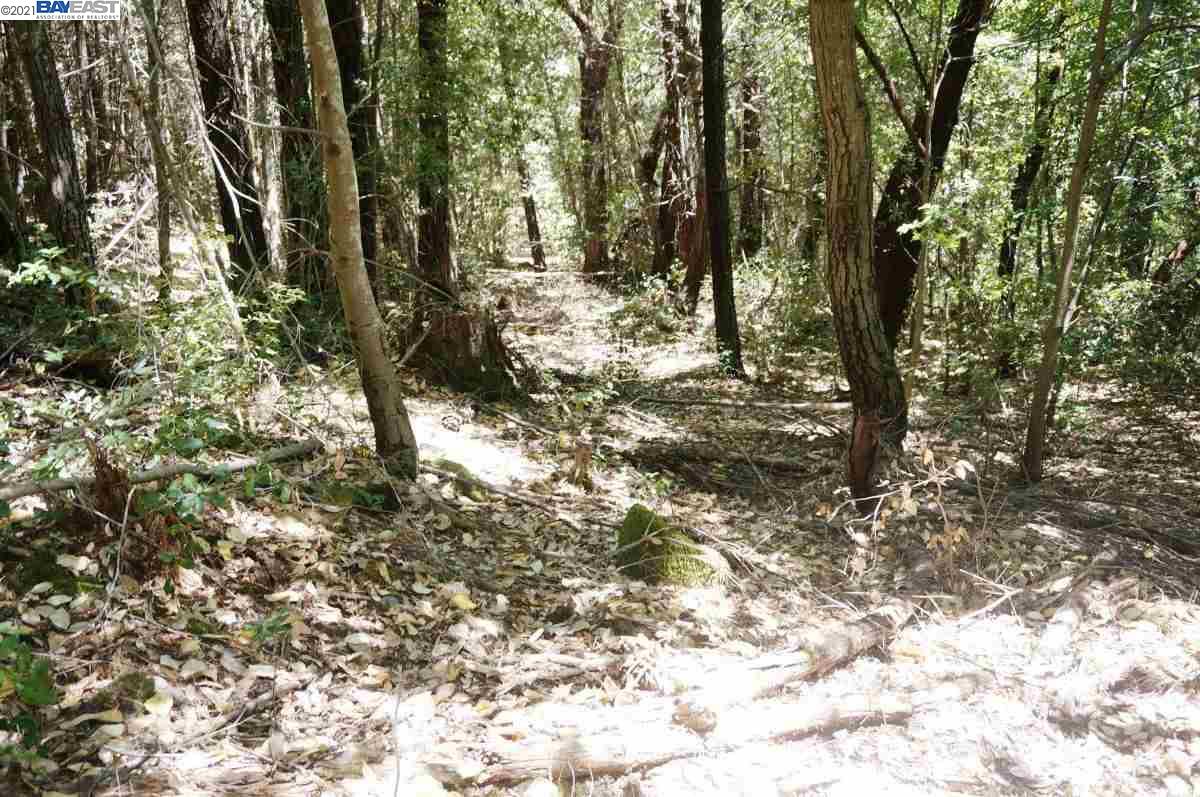 4271 State Highway 299 Rd, BURNT RANCH, California 95527, ,Lots And Land,For Sale,State Highway 299 Rd,40963655