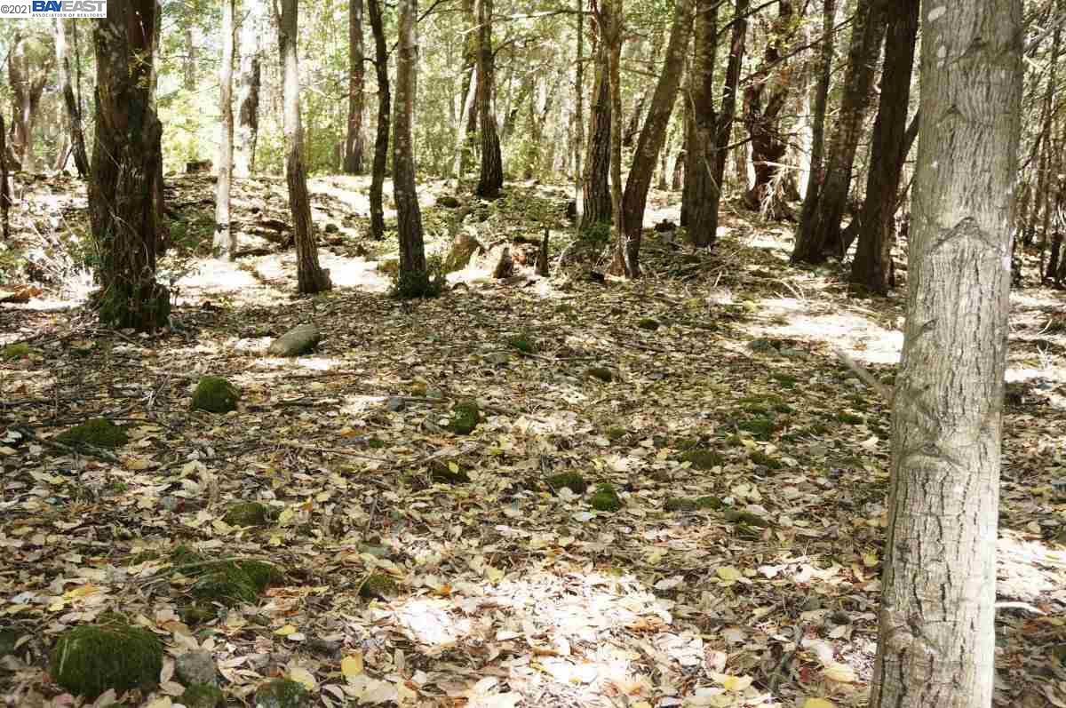 4271 State Highway 299 Rd, BURNT RANCH, California 95527, ,Lots And Land,For Sale,State Highway 299 Rd,40963655