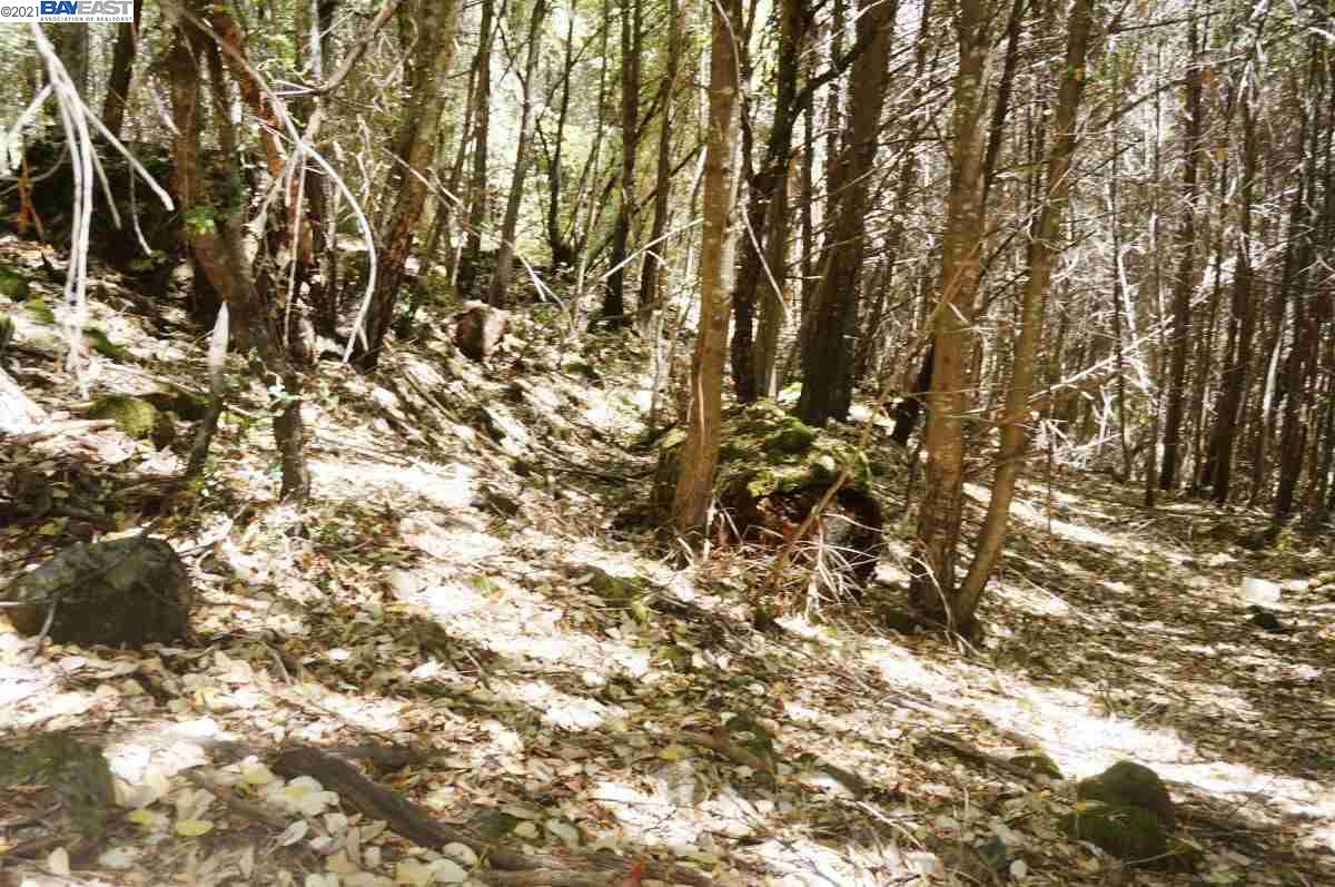 4271 State Highway 299 Rd, BURNT RANCH, California 95527, ,Lots And Land,For Sale,State Highway 299 Rd,40963655
