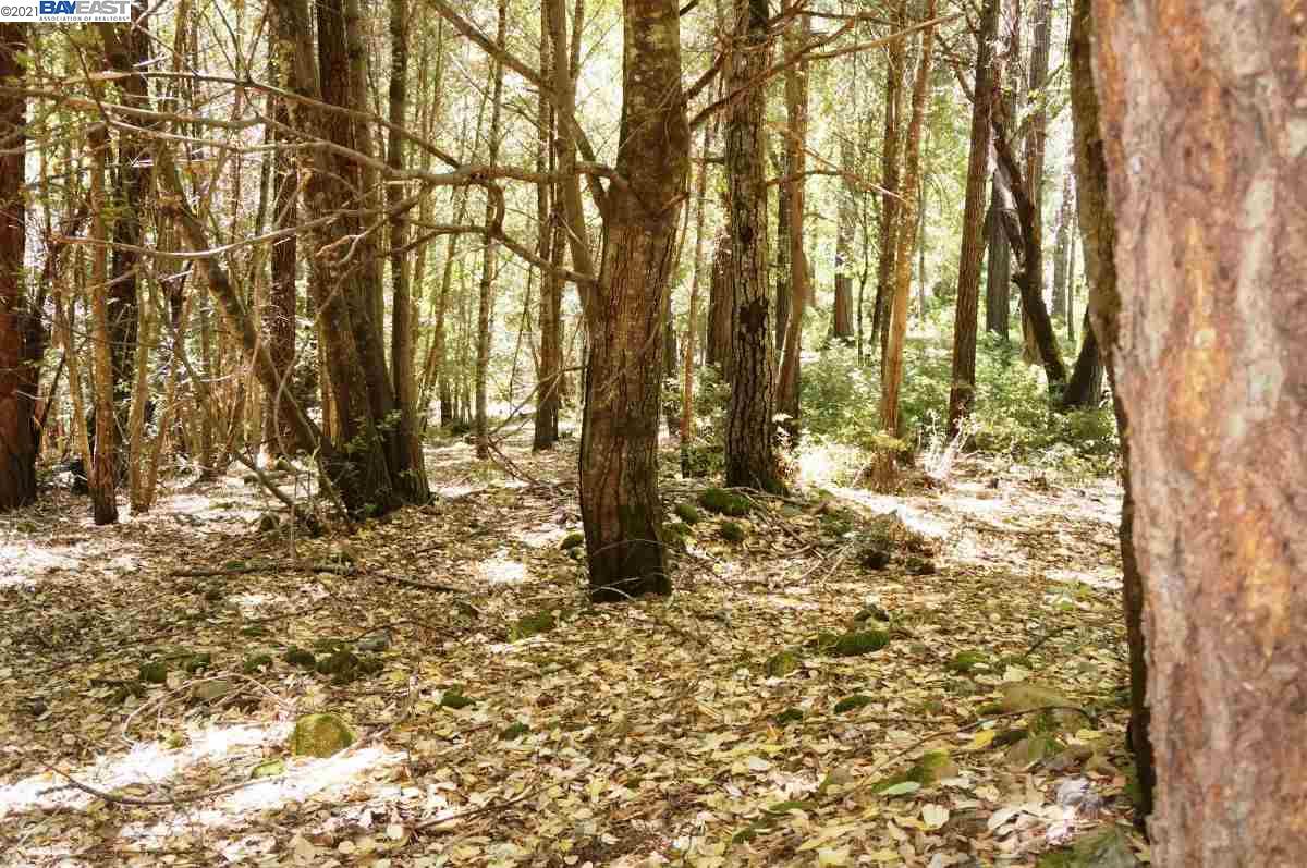 4271 State Highway 299 Rd, BURNT RANCH, California 95527, ,Lots And Land,For Sale,State Highway 299 Rd,40963655