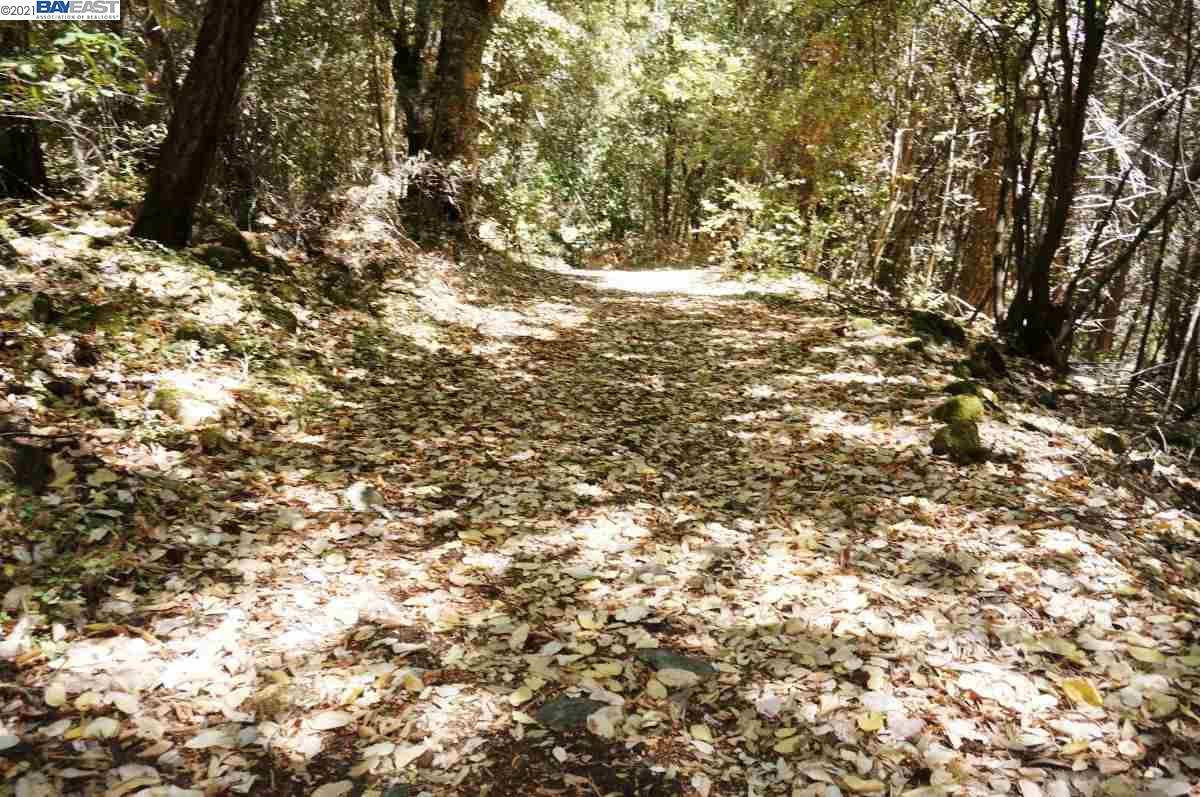 4271 State Highway 299 Rd, BURNT RANCH, California 95527, ,Lots And Land,For Sale,State Highway 299 Rd,40963655