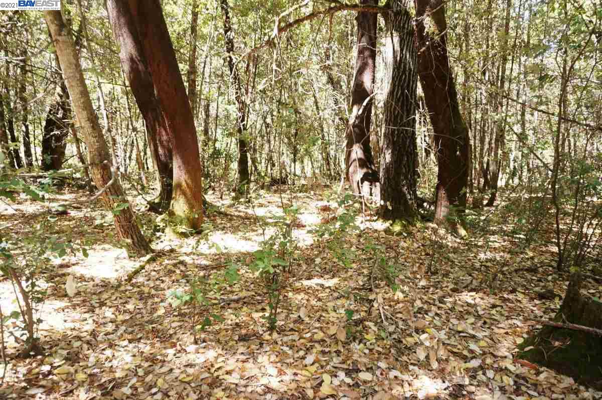 4271 State Highway 299 Rd, BURNT RANCH, California 95527, ,Lots And Land,For Sale,State Highway 299 Rd,40963655