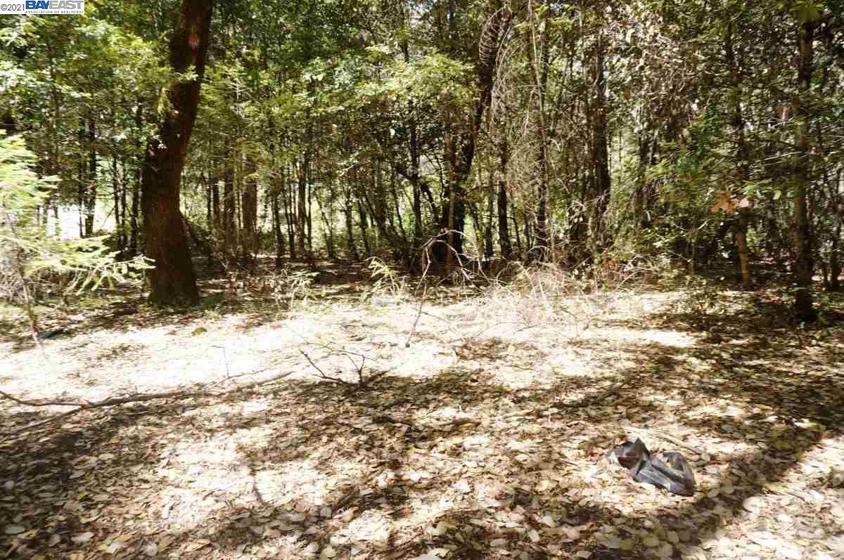 4271 State Highway 299 Rd, BURNT RANCH, California 95527, ,Lots And Land,For Sale,State Highway 299 Rd,40963655