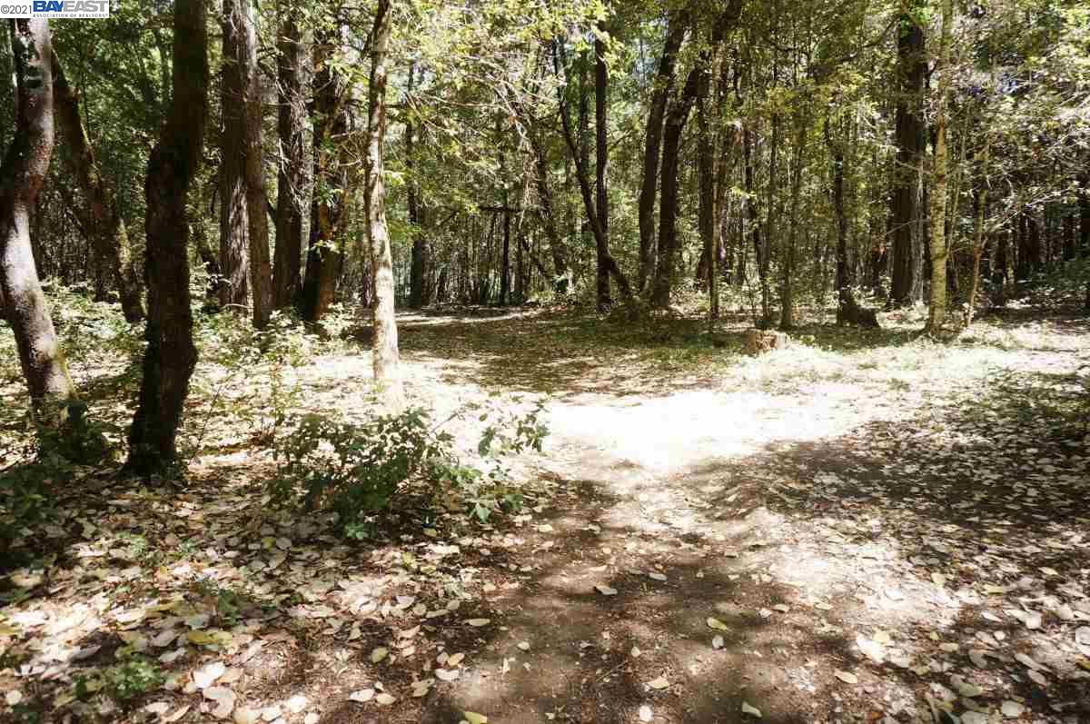 4271 State Highway 299 Rd, BURNT RANCH, California 95527, ,Lots And Land,For Sale,State Highway 299 Rd,40963655