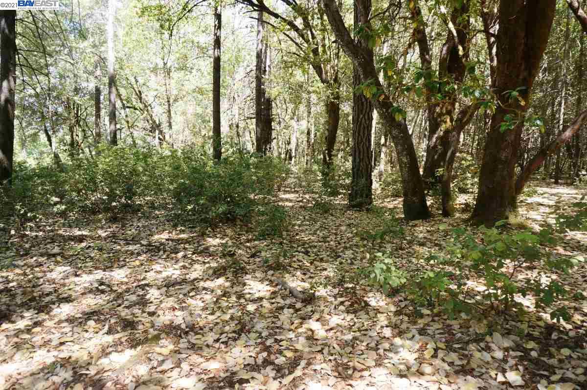 4271 State Highway 299 Rd, BURNT RANCH, California 95527, ,Lots And Land,For Sale,State Highway 299 Rd,40963655