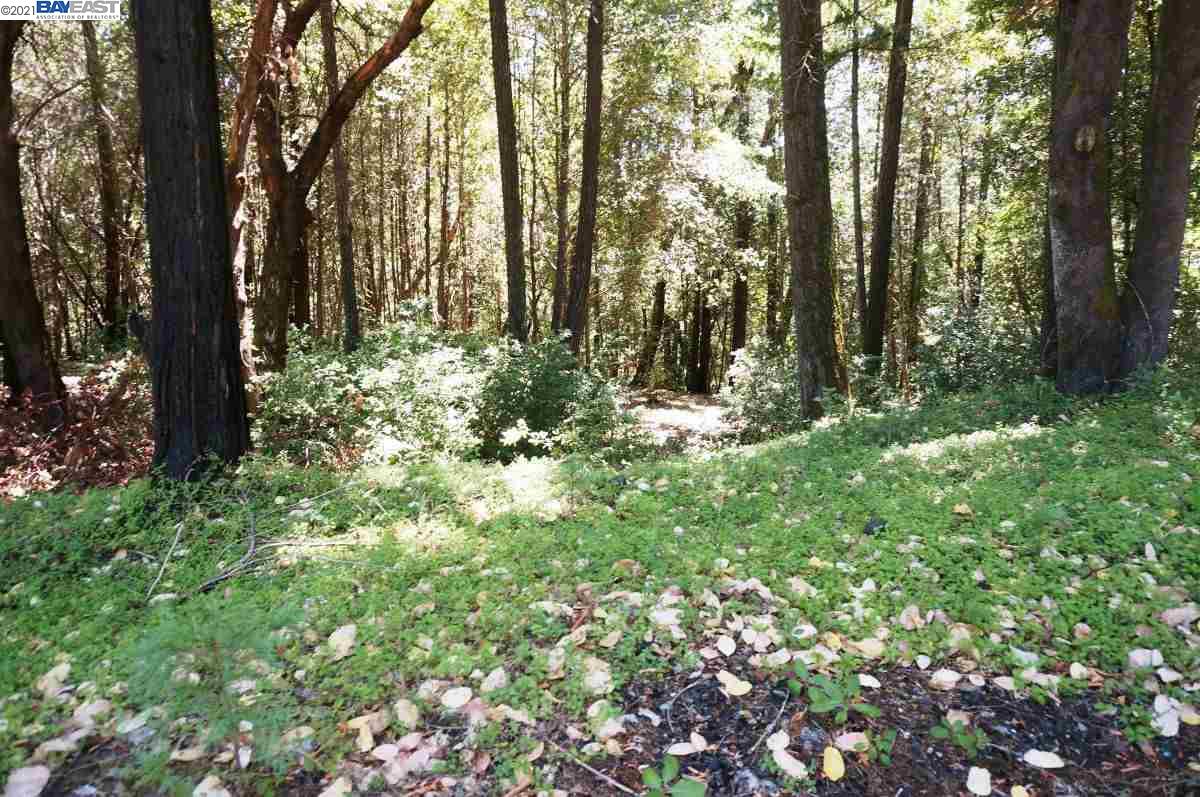 4271 State Highway 299 Rd, BURNT RANCH, California 95527, ,Lots And Land,For Sale,State Highway 299 Rd,40963655