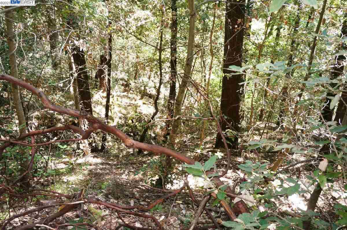 4271 State Highway 299 Rd, BURNT RANCH, California 95527, ,Lots And Land,For Sale,State Highway 299 Rd,40963655