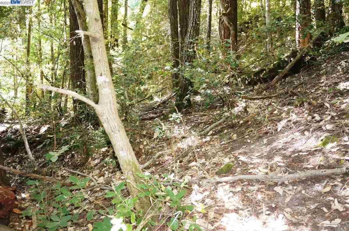 4271 State Highway 299 Rd, BURNT RANCH, California 95527, ,Lots And Land,For Sale,State Highway 299 Rd,40963655
