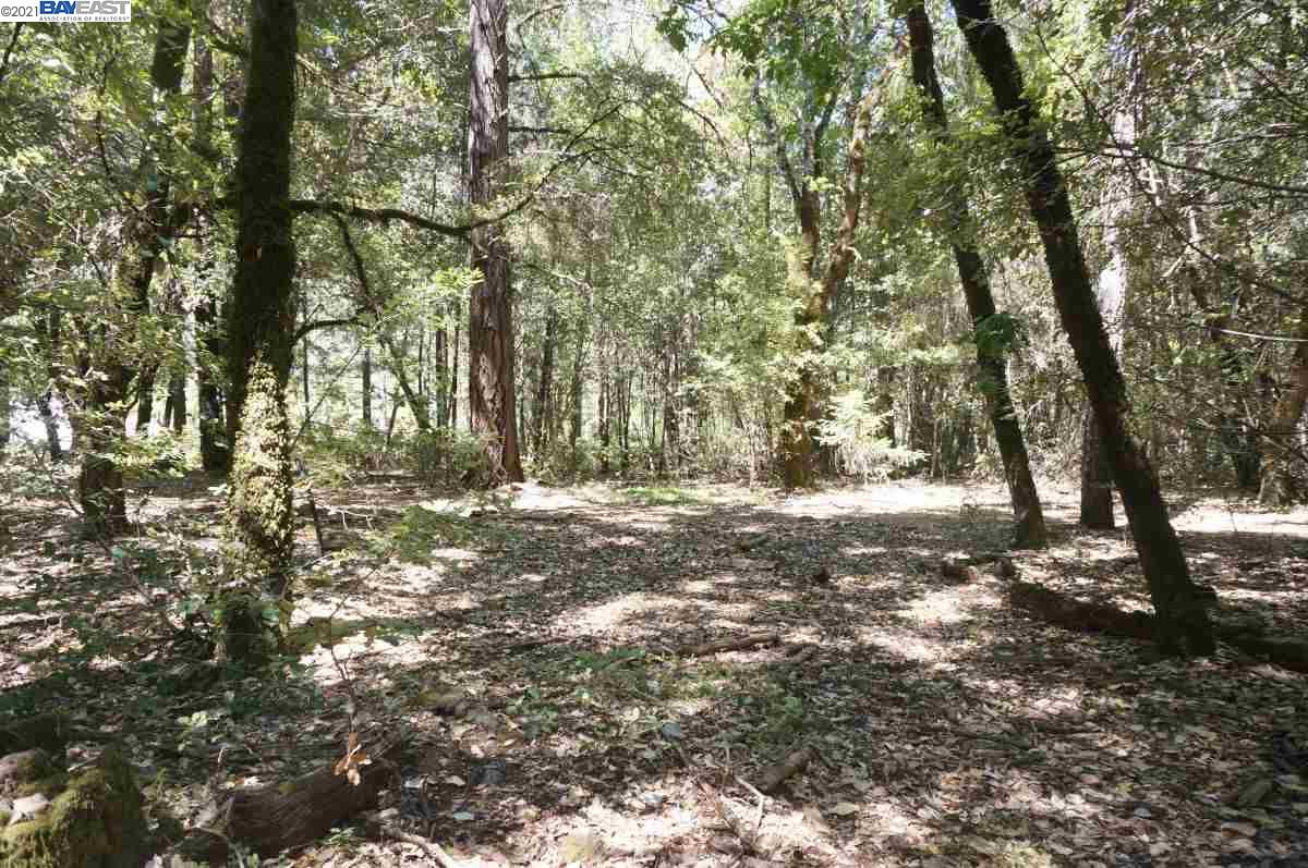 30 Suzy Q Road, BURNT RANCH, California 95527, ,Lots And Land,For Sale,Suzy Q Road,40963656