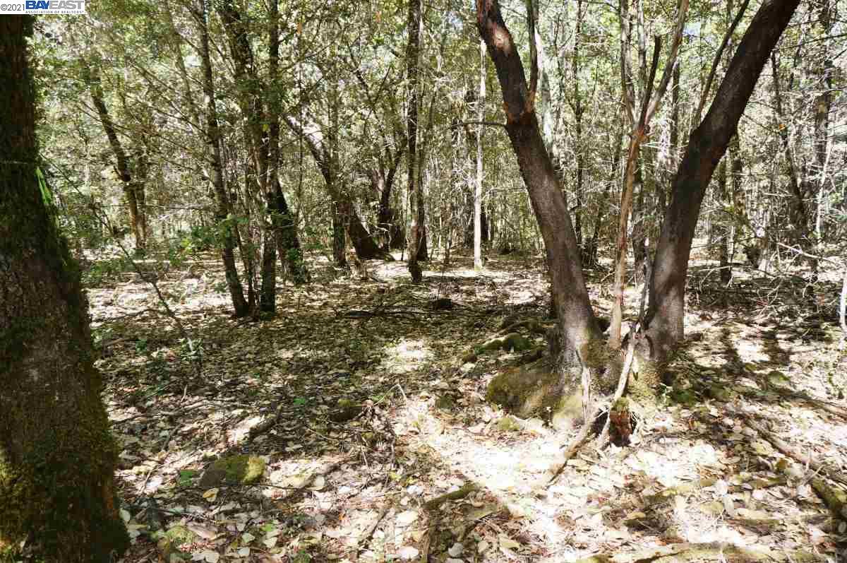 30 Suzy Q Road, BURNT RANCH, California 95527, ,Lots And Land,For Sale,Suzy Q Road,40963656