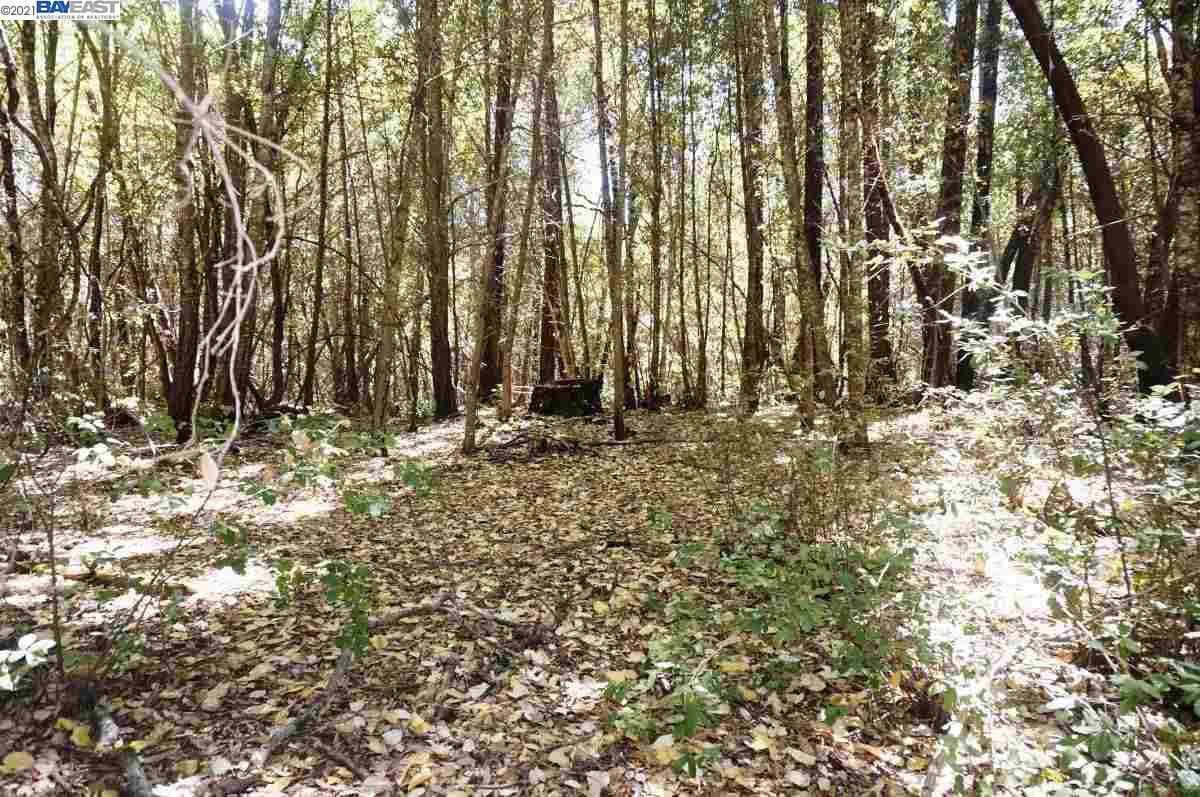 30 Suzy Q Road, BURNT RANCH, California 95527, ,Lots And Land,For Sale,Suzy Q Road,40963656