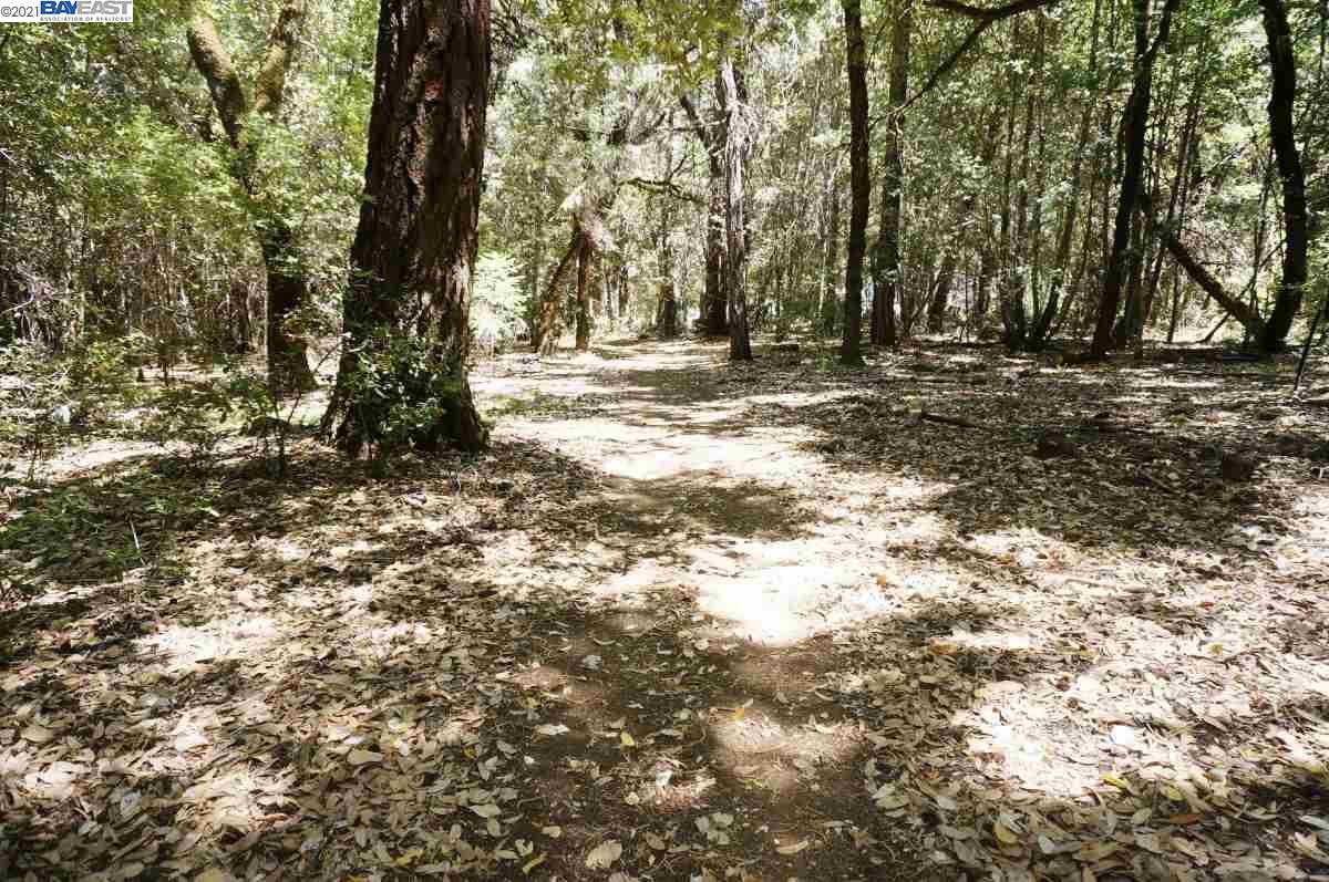 30 Suzy Q Road, BURNT RANCH, California 95527, ,Lots And Land,For Sale,Suzy Q Road,40963656