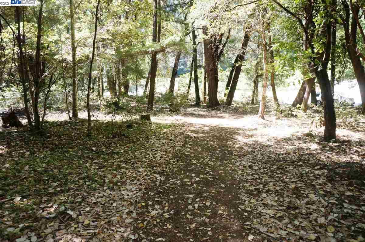 30 Suzy Q Road, BURNT RANCH, California 95527, ,Lots And Land,For Sale,Suzy Q Road,40963656