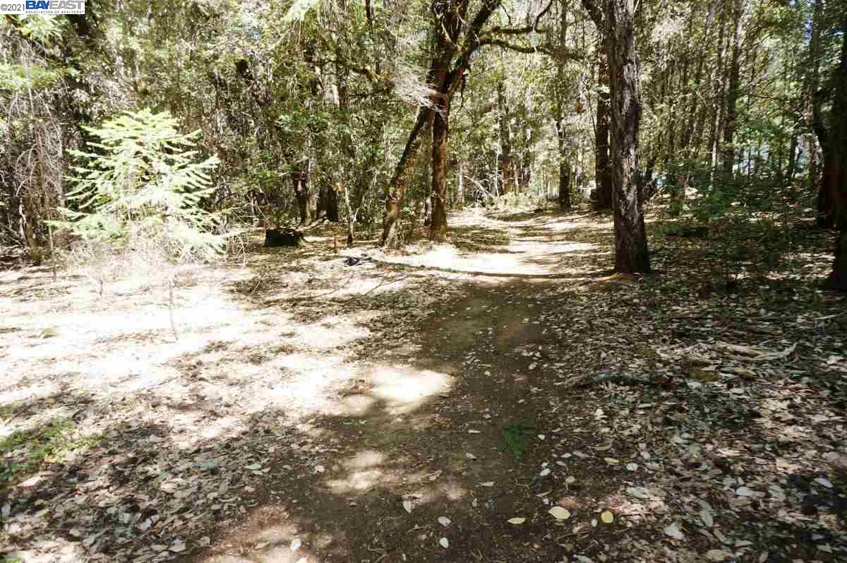 30 Suzy Q Road, BURNT RANCH, California 95527, ,Lots And Land,For Sale,Suzy Q Road,40963656