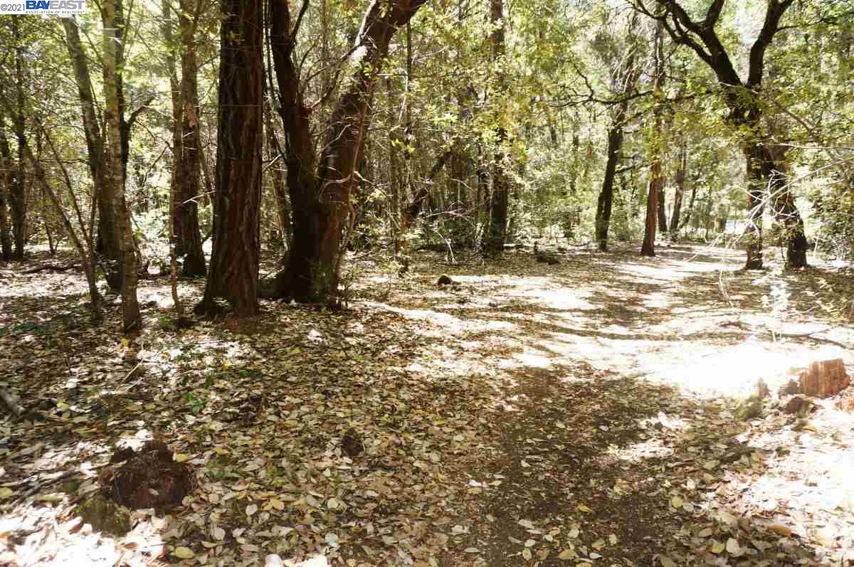 30 Suzy Q Road, BURNT RANCH, California 95527, ,Lots And Land,For Sale,Suzy Q Road,40963656
