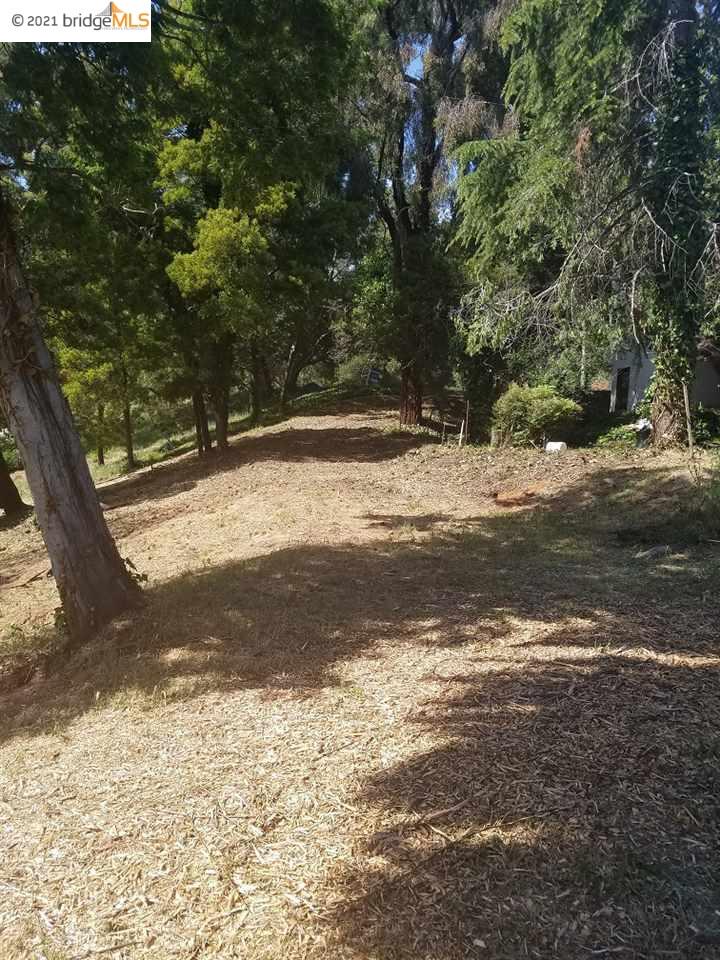 0 Monterey Blvd, OAKLAND, California 94602, ,Lots And Land,For Sale,Monterey Blvd,40965252