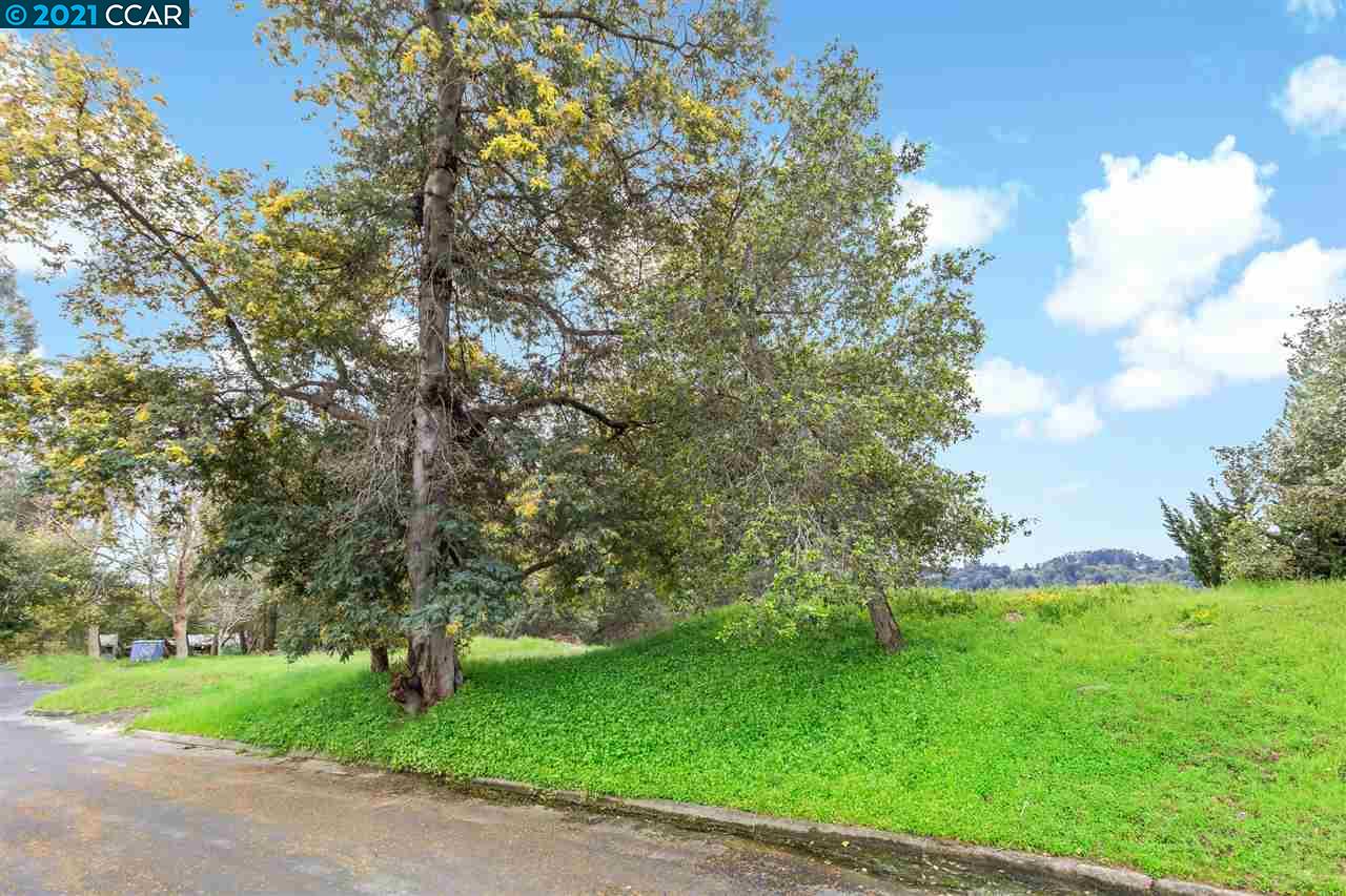 220 Corday Ln, SANTA CRUZ, California 95060, ,Lots And Land,For Sale,Corday Ln,40963720