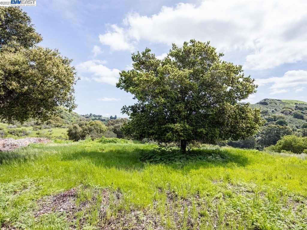 5427 Jensen Rd Lot #3, CASTRO VALLEY, California 94552, ,Lots And Land,For Sale,Jensen Rd Lot #3,40963756