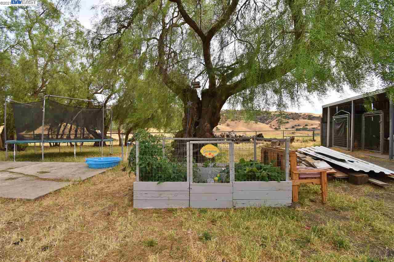 12902 Tesla Rd, LIVERMORE, California 94550, ,Lots And Land,For Sale,Tesla Rd,40963839