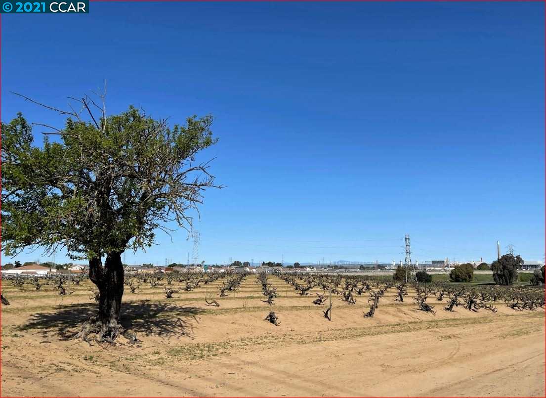 Photo of Oakley Rd in Oakley, CA