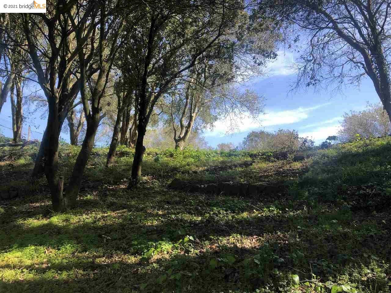 0 Kensington Ct, KENSINGTON, California 94707, ,Lots And Land,For Sale,Kensington Ct,40963888