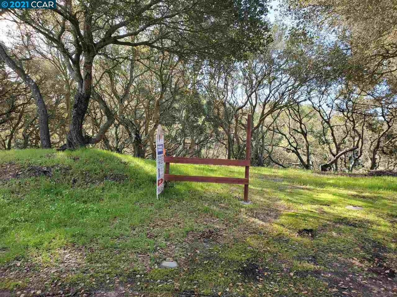 5979 Skyline Dr, EL SOBRANTE, California 94803, ,Lots And Land,For Sale,Skyline Dr,40963898