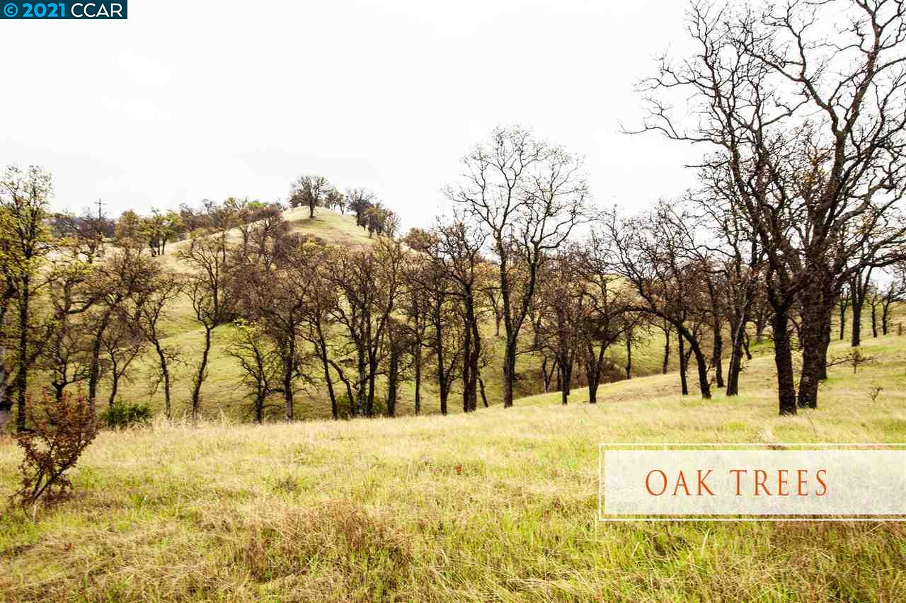 16555 Happy Valley Trl, COTTONWOOD, California 96022, ,Lots And Land,For Sale,Happy Valley Trl,40963929