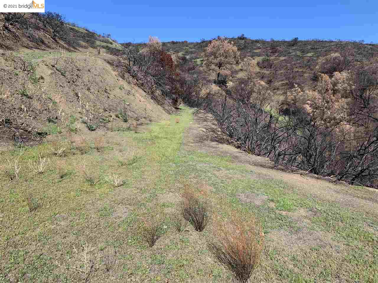 3882 Pope Canyon Road, SPANISH FLAT, California 94558, ,Lots And Land,For Sale,Pope Canyon Road,40963947