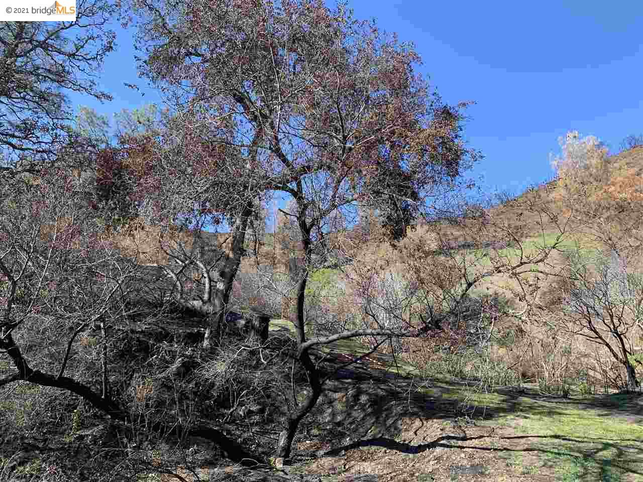 3882 Pope Canyon Road, SPANISH FLAT, California 94558, ,Lots And Land,For Sale,Pope Canyon Road,40963947
