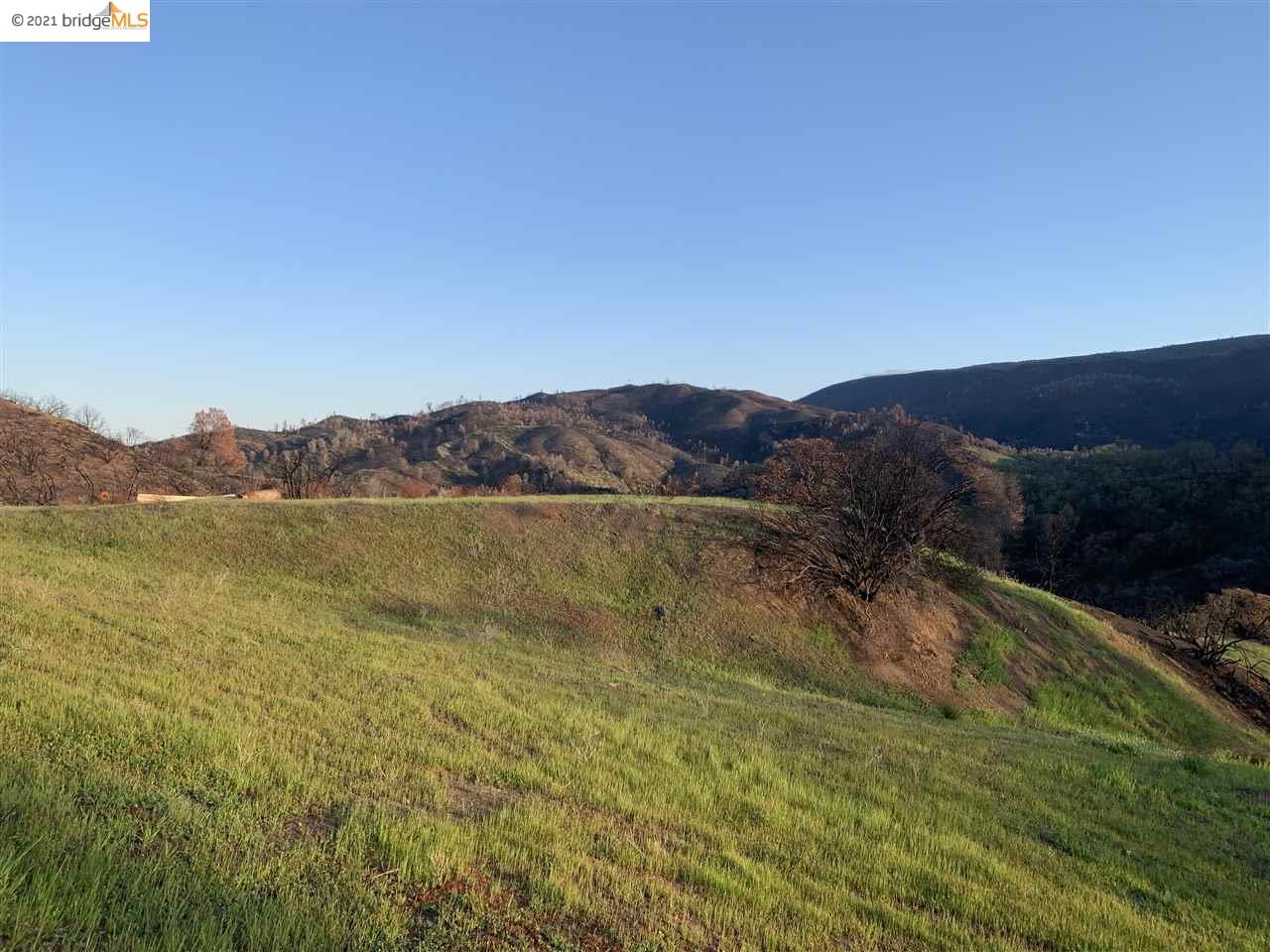 3882 Pope Canyon Road, SPANISH FLAT, California 94558, ,Lots And Land,For Sale,Pope Canyon Road,40963947