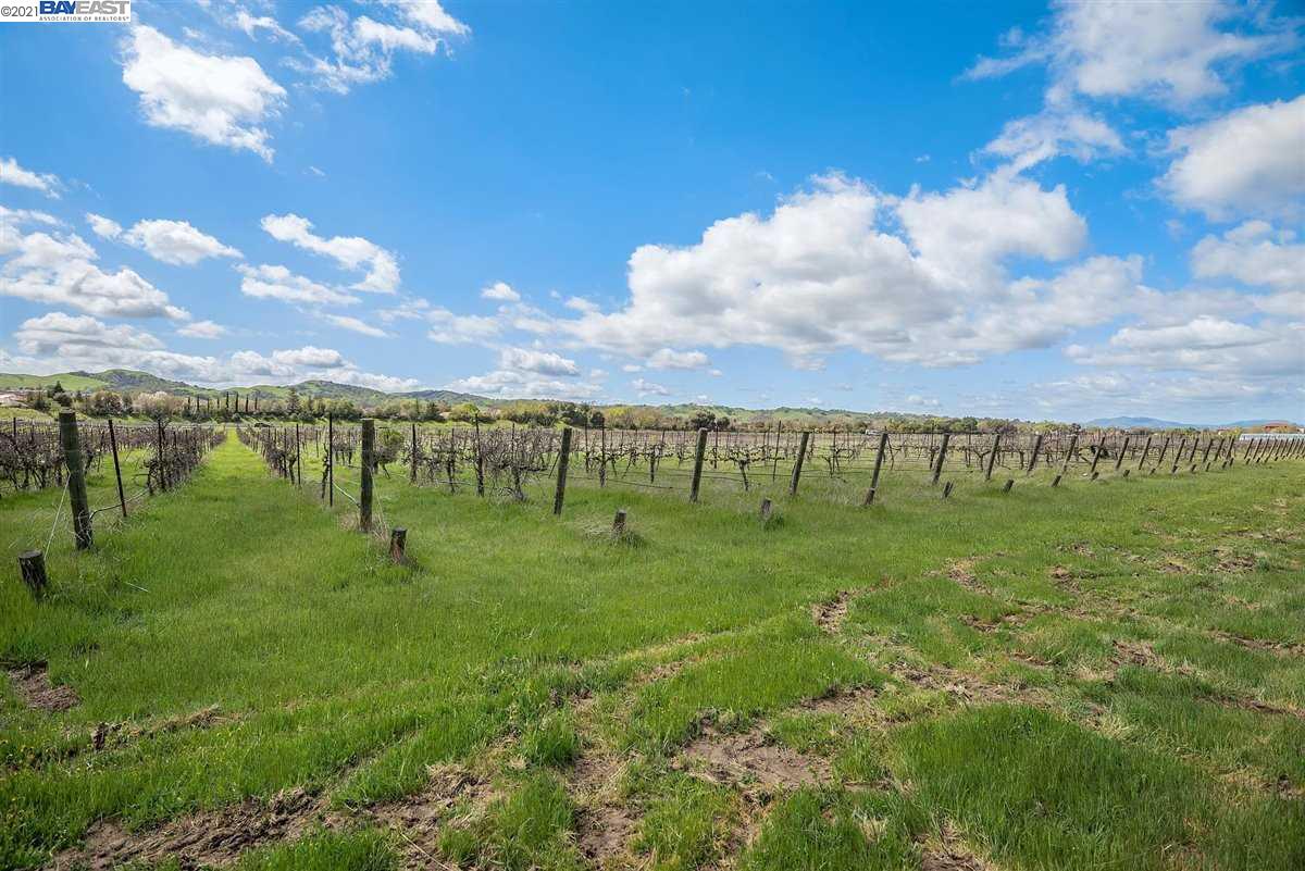303 Vineyard Ave, LIVERMORE, California 94550, ,Lots And Land,For Sale,Vineyard Ave,40963964