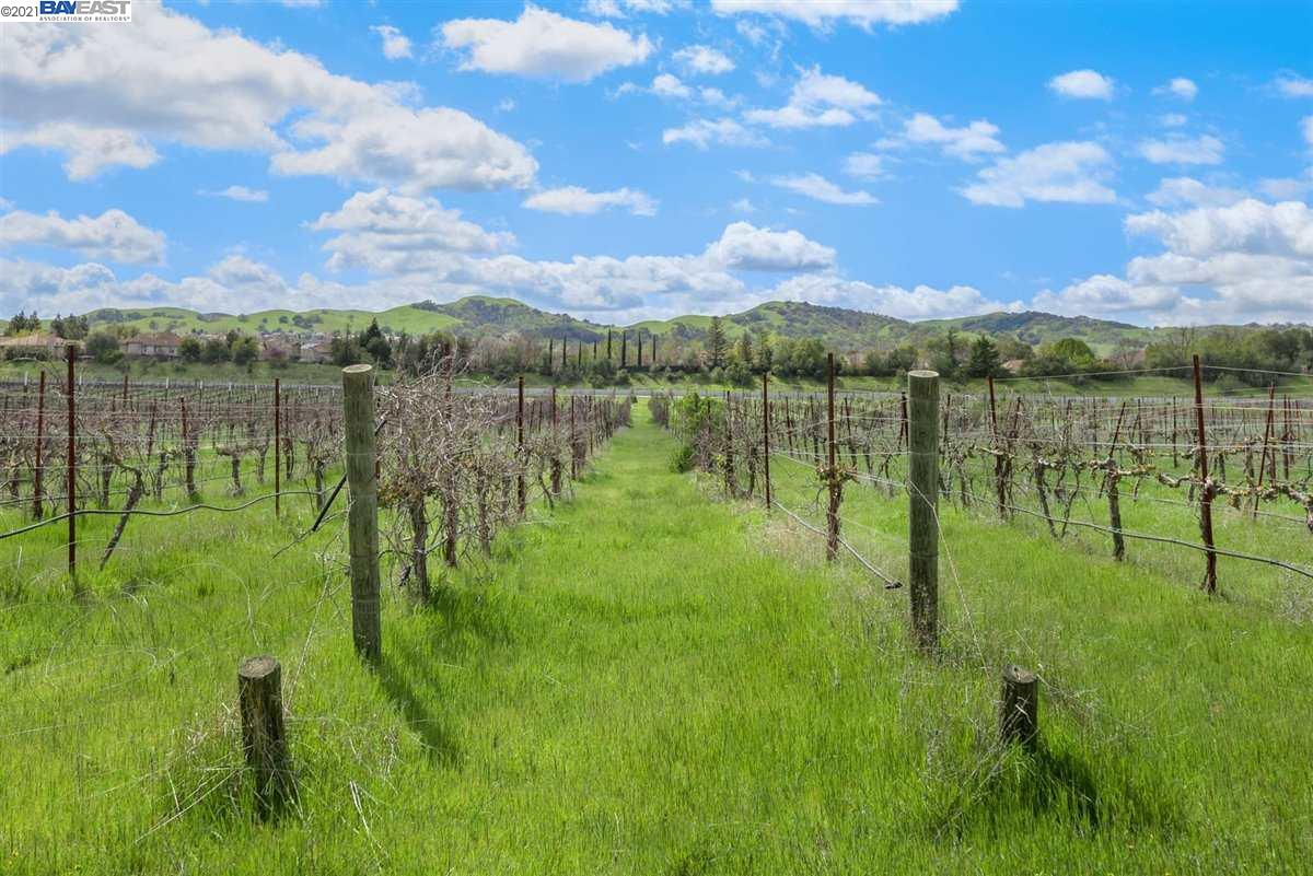 303 Vineyard Ave, LIVERMORE, California 94550, ,Lots And Land,For Sale,Vineyard Ave,40963964