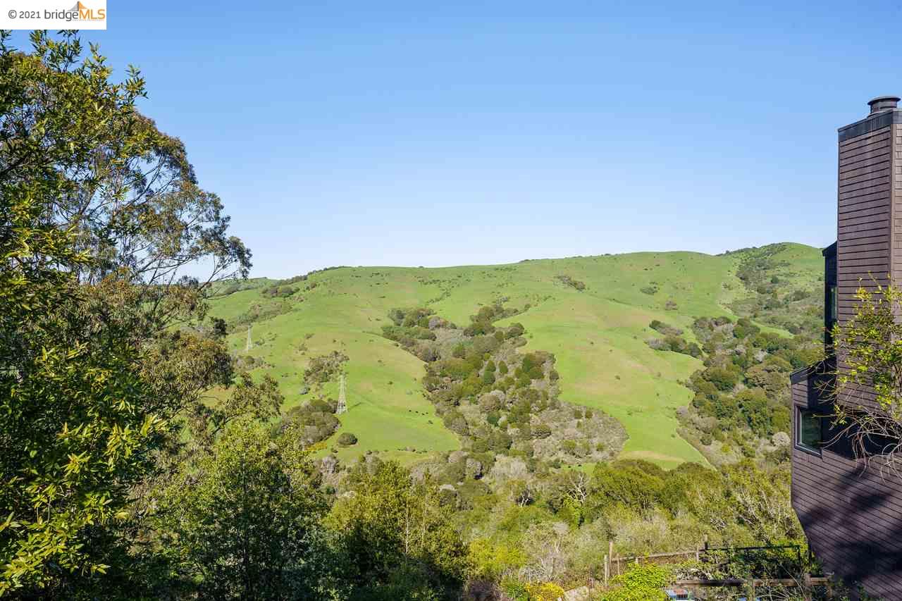 0 Leneve Pl, EL CERRITO, California 94530, ,Lots And Land,For Sale,Leneve Pl,40963980