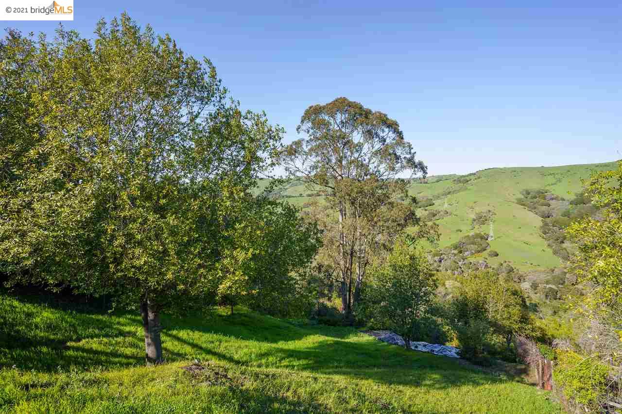 0 Leneve Pl, EL CERRITO, California 94530, ,Lots And Land,For Sale,Leneve Pl,40963980