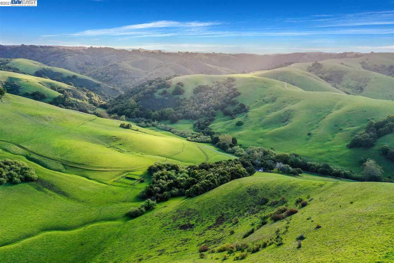 1159 Silver Maple Ln, HAYWARD, California 94544, ,Lots And Land,For Sale,Silver Maple Ln,40963991