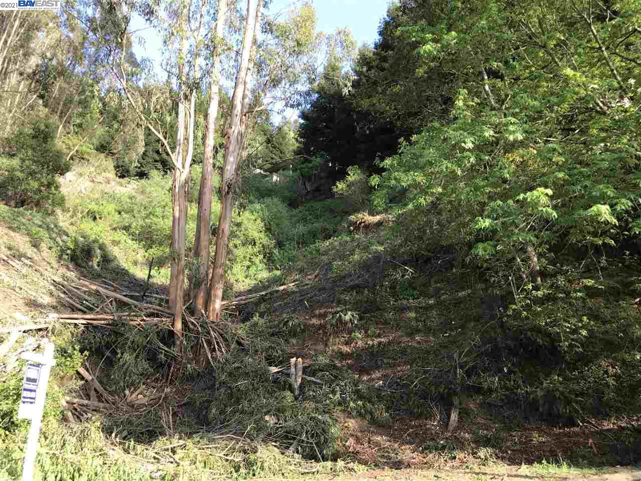 5814 Skyline Blvd, OAKLAND, California 94611, ,Lots And Land,For Sale,Skyline Blvd,40963994